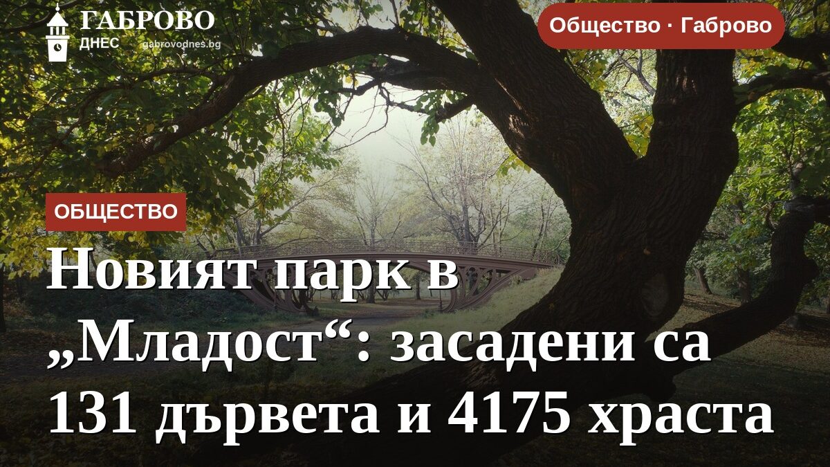 Новият парк в „Младост“: засадени са 131 дървета и 4175 храста