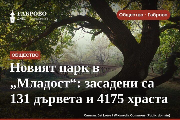 Новият парк в „Младост“: засадени са 131 дървета и 4175 храста