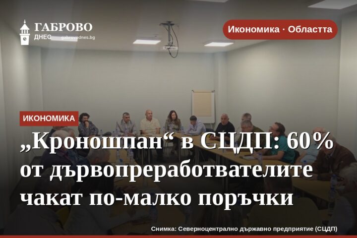 „Кроношпан“ в СЦДП: 60% от дървопреработвателите чакат по-малко поръчки